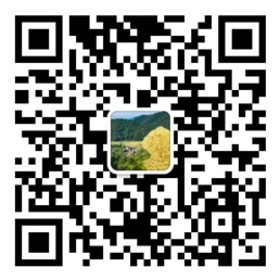 光大彩票在线网站